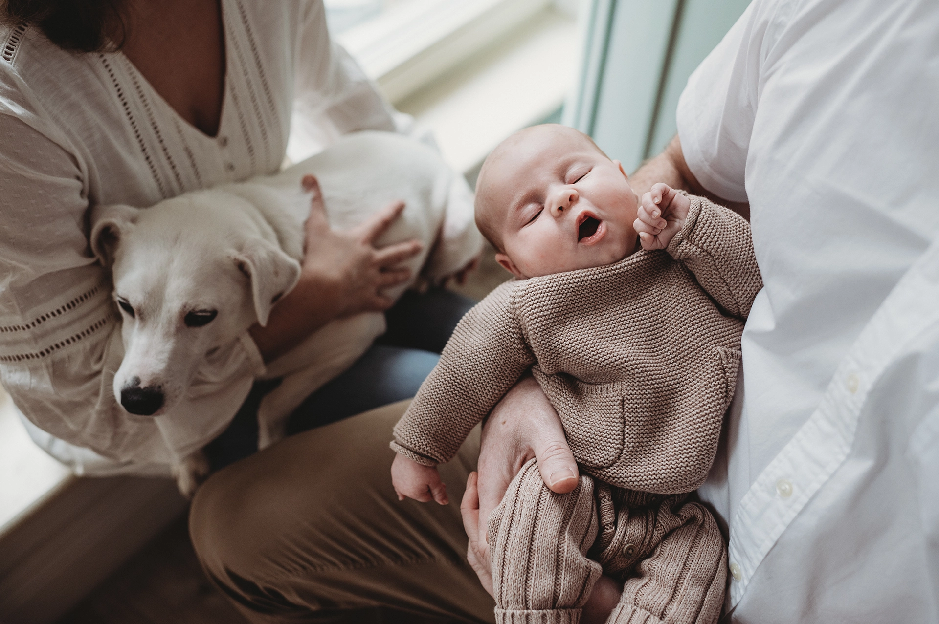 Noworodek na rękach taty podczas domowej sesji noworodkowej z psem w Krakowie