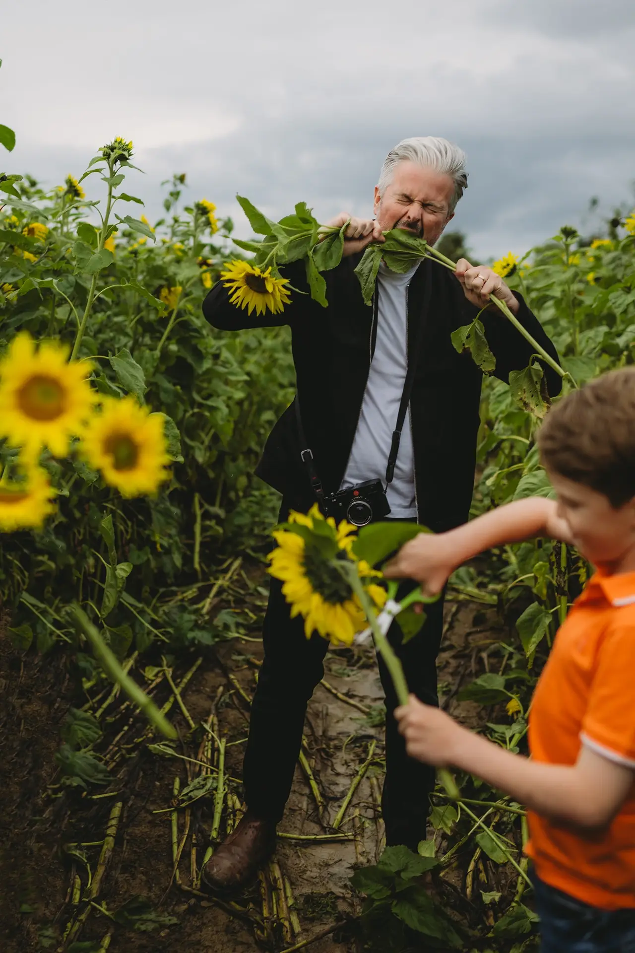 rodzinna sesja lifestylowa w plenerze - tata i dziecko w słonecznikach